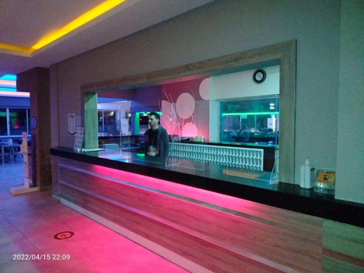 Catty Cats Garden Hotel シダ エクステリア 写真