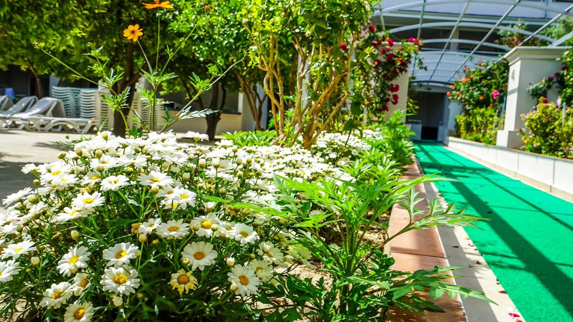 Catty Cats Garden Hotel シダ エクステリア 写真